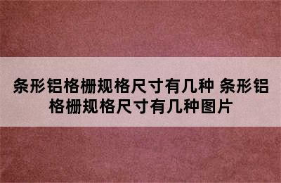 条形铝格栅规格尺寸有几种 条形铝格栅规格尺寸有几种图片